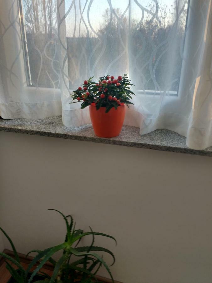 Meridian Apartment , 300M To Bus Terminal, Fast Wifi & Airport Transf Zagreb Eksteriør billede